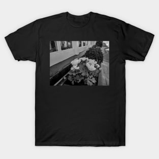 City centre window boxes T-Shirt